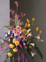 arrangement 210