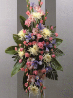 arrangement 212