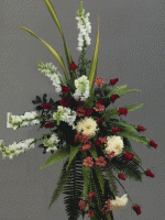 arrangement 213
