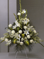 arrangement 215