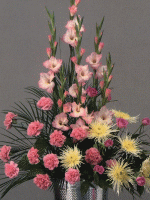 arrangement 216