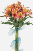 Affordable elegance commands attention in this stunning collection of single flowers.