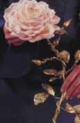 A royal duchess rose is glorified with a stem of gold.